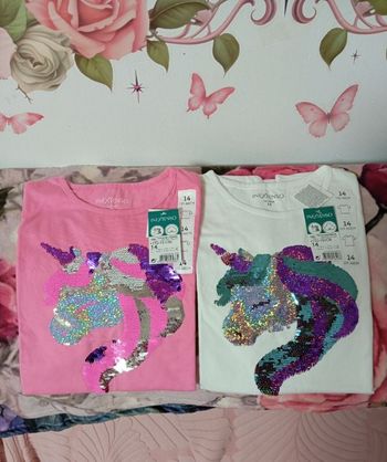 Lot 2 tee shirts manches courtes
