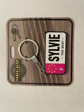 Porte Clé Prénom Plaque d'Immatriculation