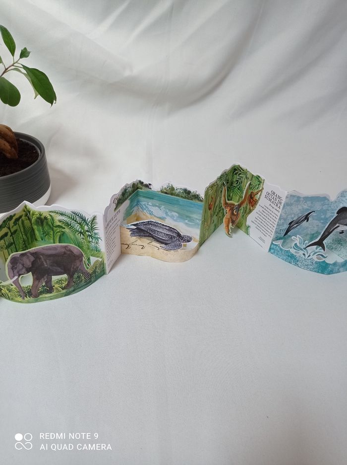 Livre panorama illustré animaux en danger - photo numéro 3