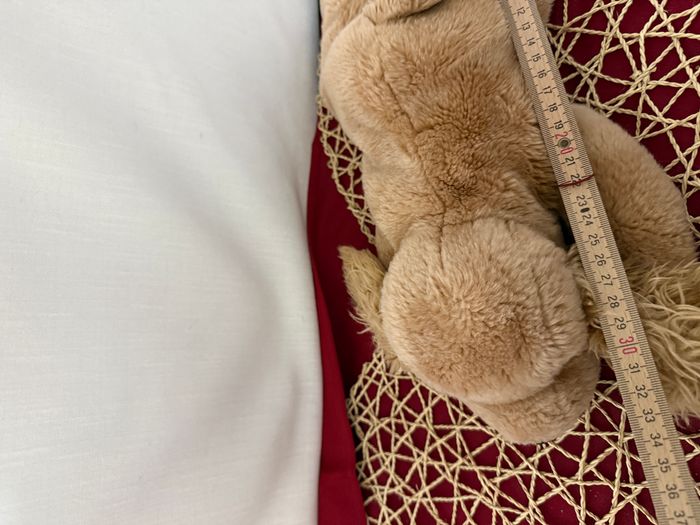 vintage Ty Beanie Buddy « Spunky », le cocker américain - photo numéro 6