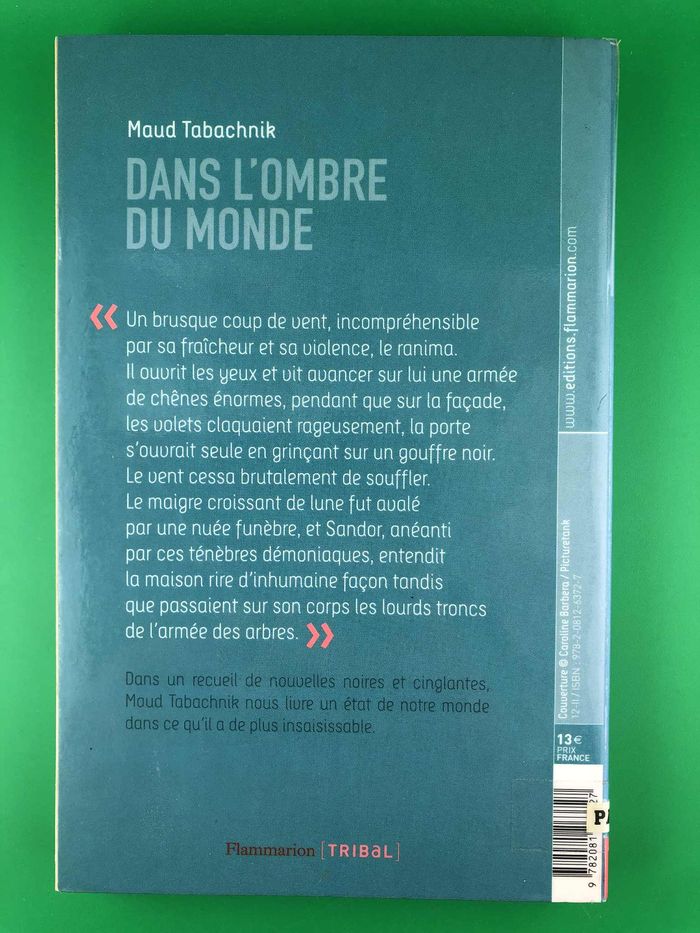 Dans l'ombre du monde - Maud Tabachnik - photo numéro 2