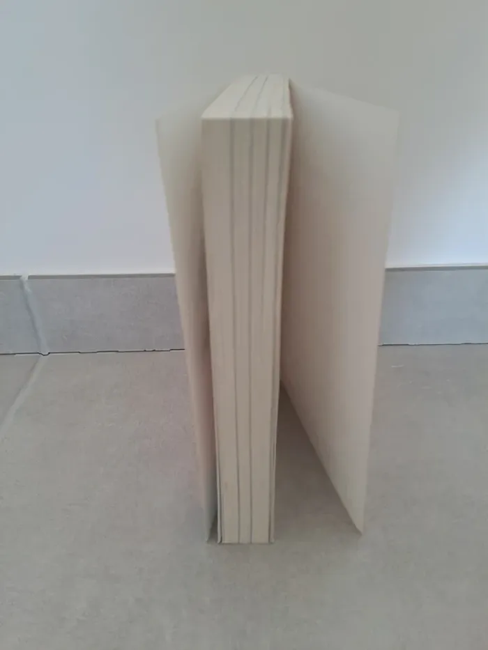 Livre "Femme aux multi-potentiels" - Élodie Crépel - photo numéro 4