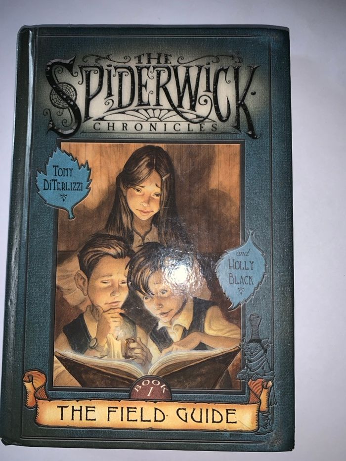 The Spiderwick chronicles
