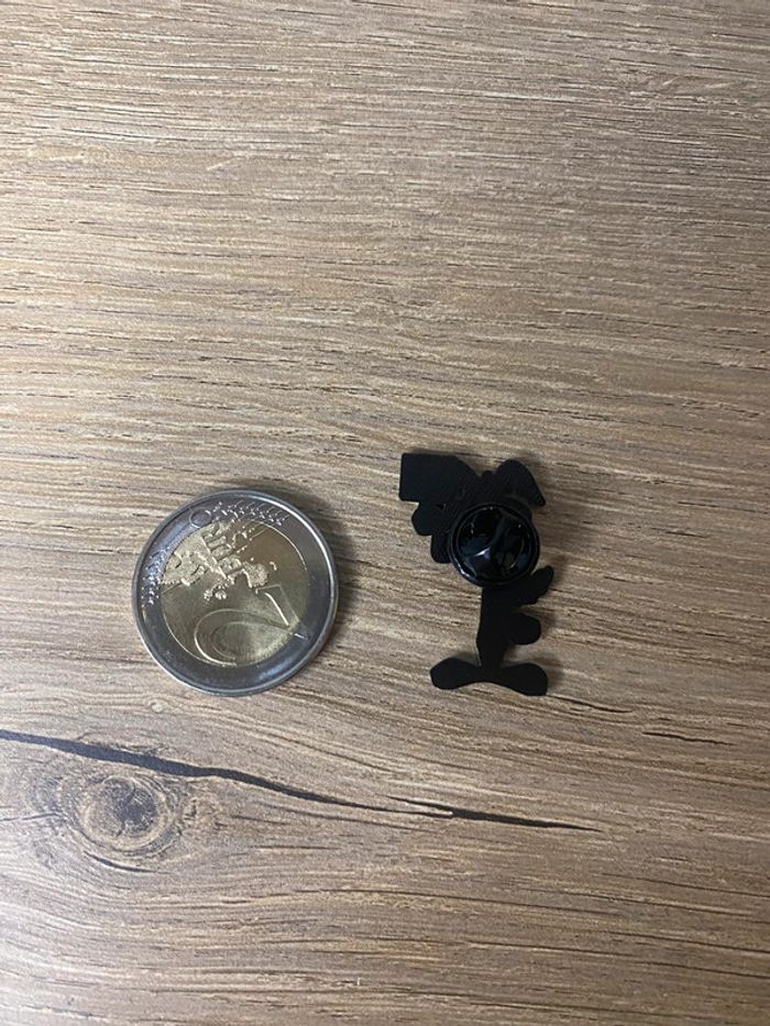 Pins coyote - photo numéro 4