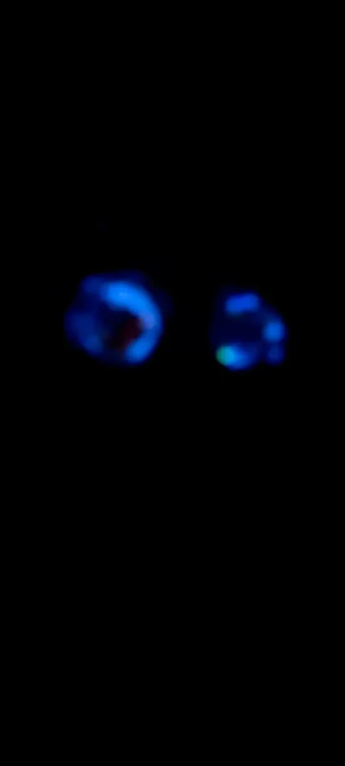 Lot porte-clés tortue fluorescentes - photo numéro 3