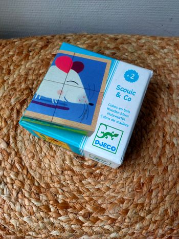 Cube en bois Djeco Scouic & Co