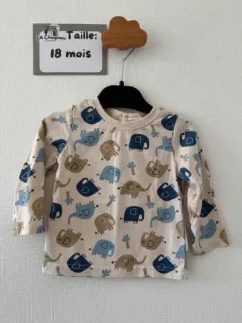 Tee shirt manches longues - taille 18 mois 🌼