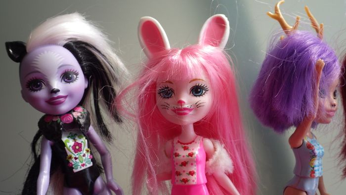 Lot de 5 poupées Enchantimals + 6 animaux Mattel - photo numéro 2