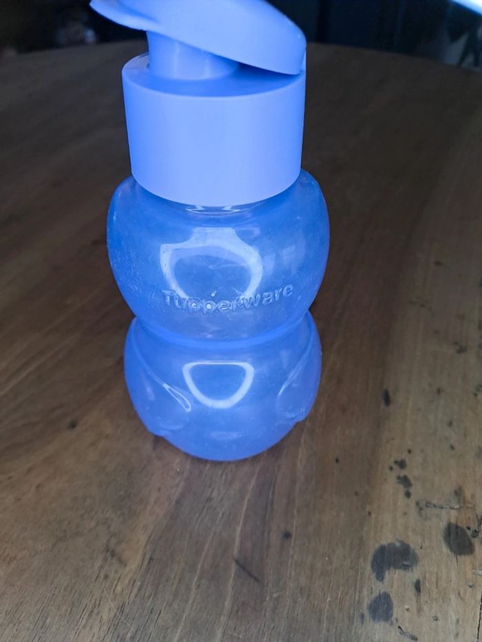 Gourde - photo numéro 2