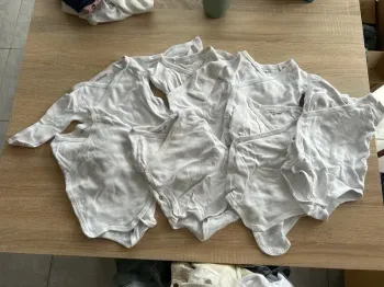 7 bodies