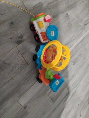 Train tutute animaux