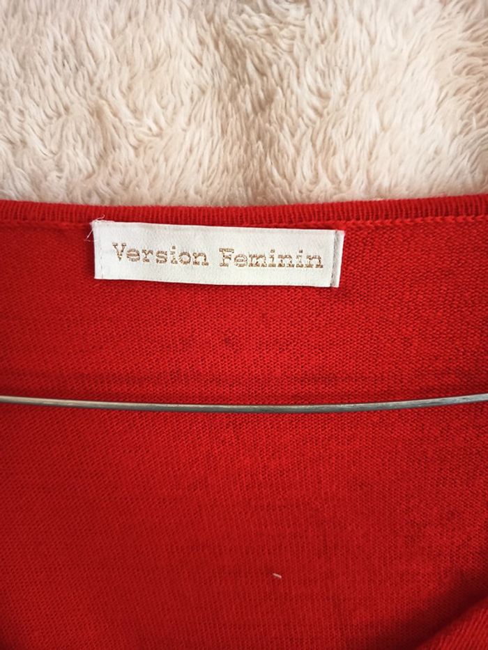 Pull grande taille femme (A353) - photo numéro 2