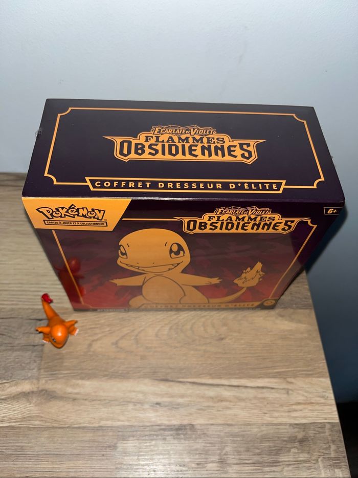 Etb flammes obsidiennes ev3 - photo numéro 5