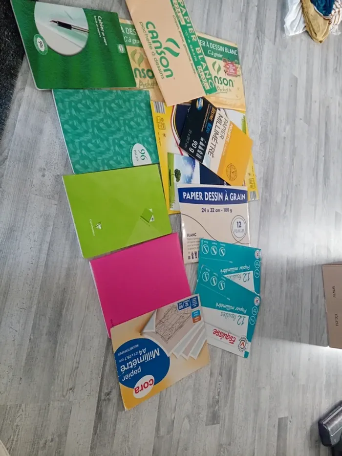 Lot fourniture 4 cahiers, papier canson papier millimètre