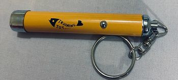 Porte-clés pointeur laser