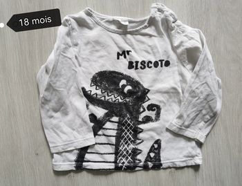 t-shirt manches longues garçon 18 mois