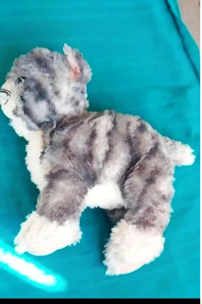 Peluche chat - photo numéro 2