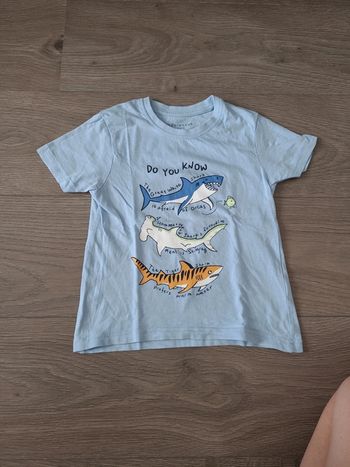 T shirt requin