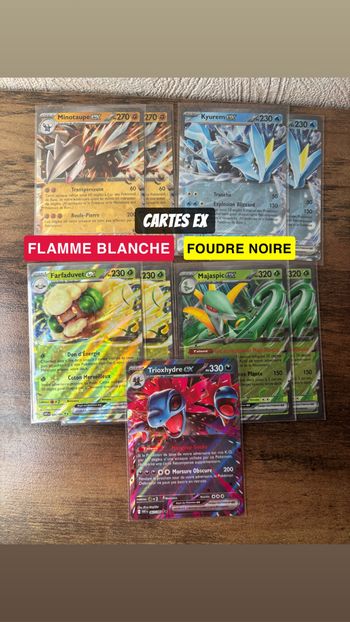 Lot de cartes ex Foudre Noire / Flamme Blanche
