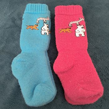 Paires de chaussettes de ski pointure 23/26