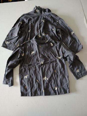 Lot tex2 tee shirt ML 23 mois