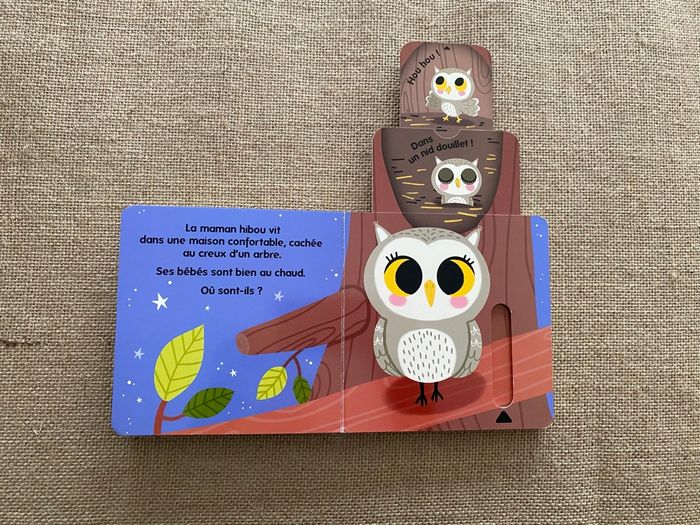 Livre Qui habite dans les bois ? Caché Trouvé Larousse Jeunesse - photo numéro 6