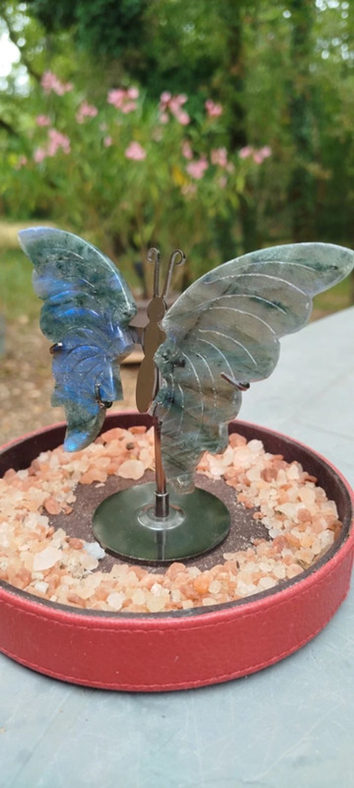 Papillon de l’Âme 🦋 Gardien des Mondes Subtils en Labradorite