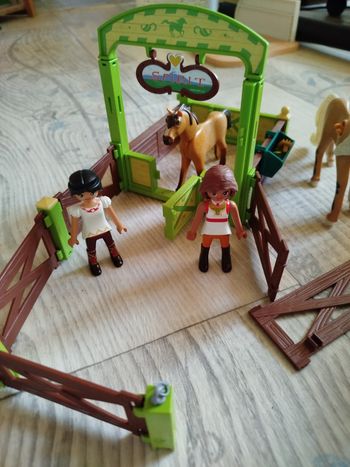 Lot playmobil cheval 
