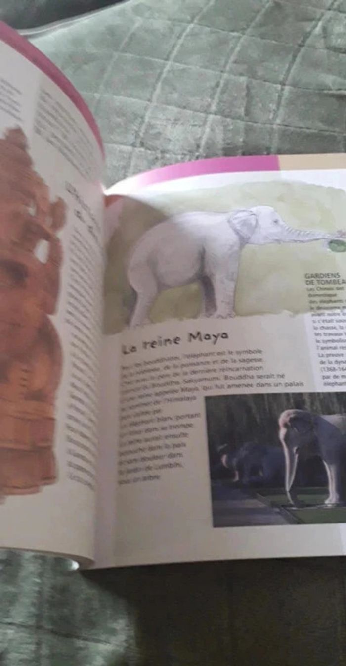 Superbe lot d' ouvrages animalier / Le Tigre / L' éléphant / Jeunesse. - photo numéro 11