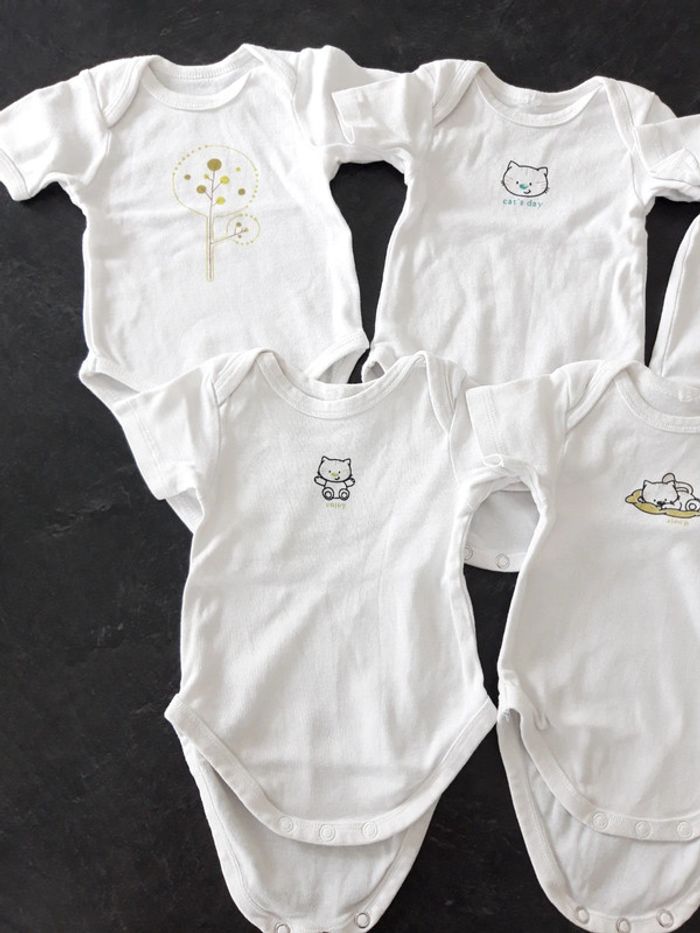 Lot 5 bodies - photo numéro 2