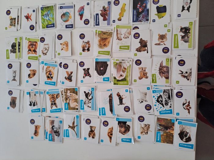 Collector cora nos amies les betes - photo numéro 2