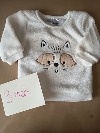 Pull polaire