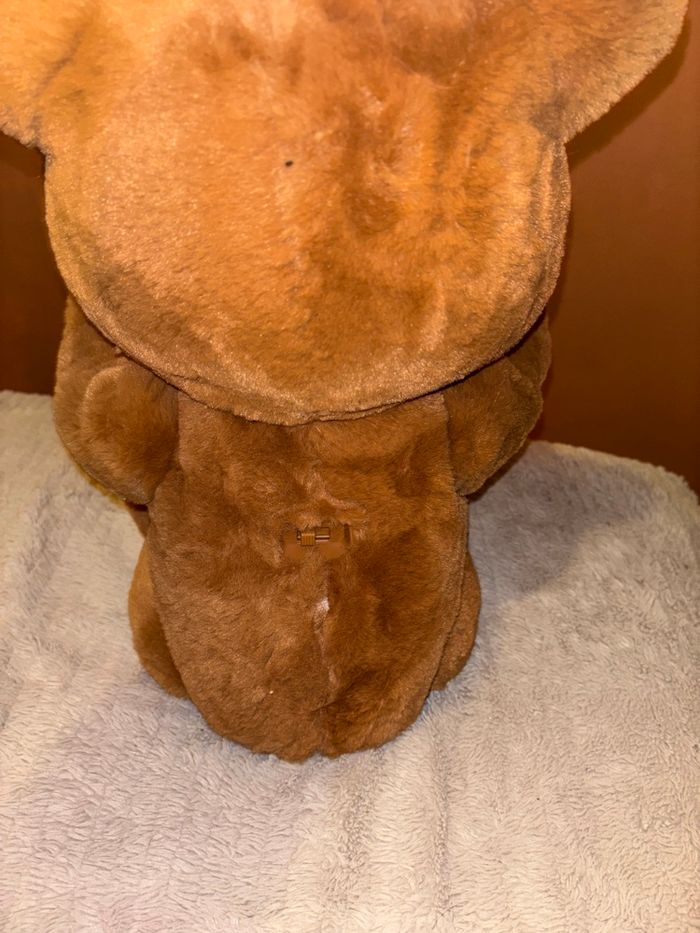 Ourson cubby - photo numéro 3