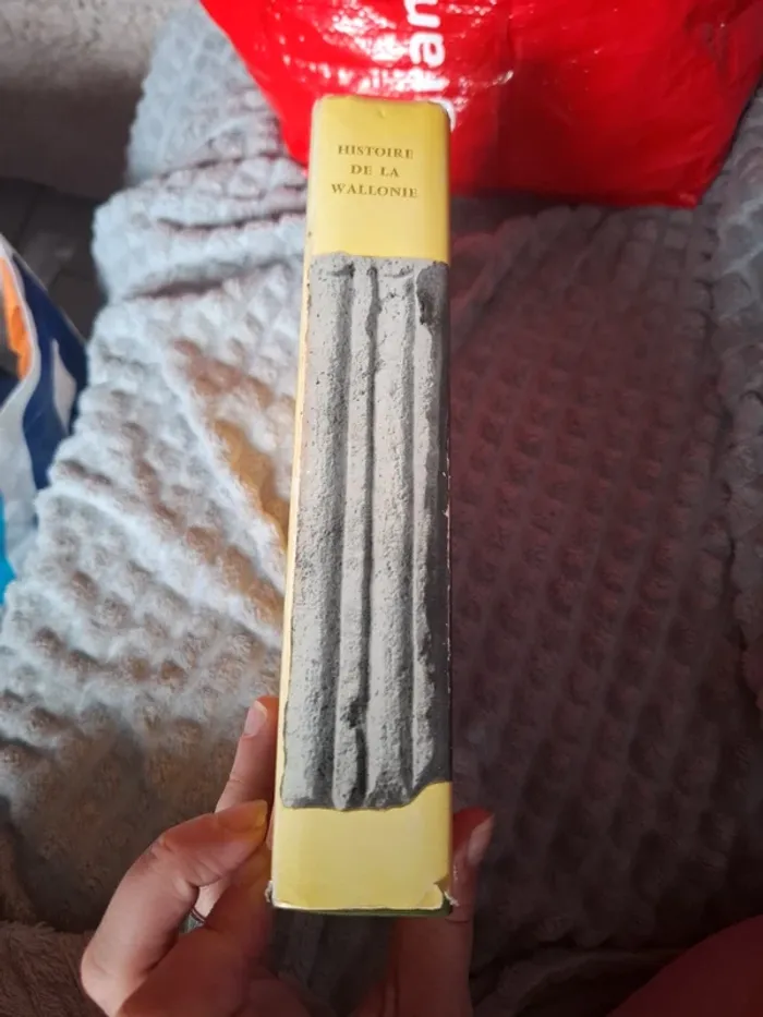 Histoire de la wallonie - photo numéro 2