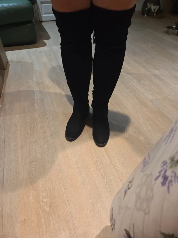 Botte cuissarde - photo numéro 3