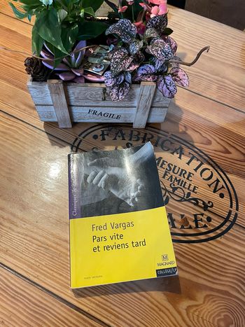 Livre pars vite et reviens tard