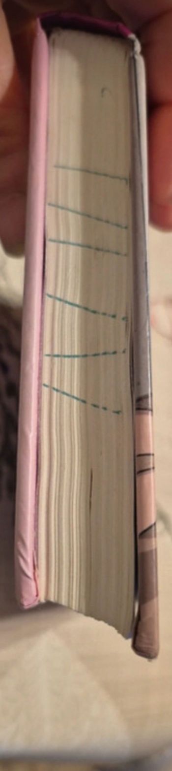 Vend livre enfants Sister 