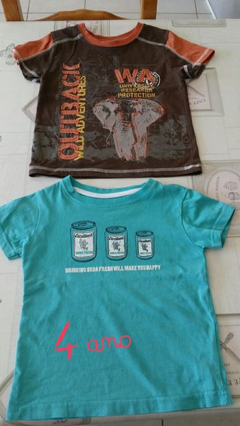 Lot de 2 t-shirt manches courtes 4 ans