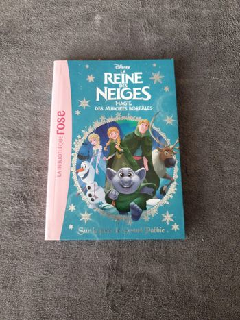 Livre La Reine Des Neiges 23