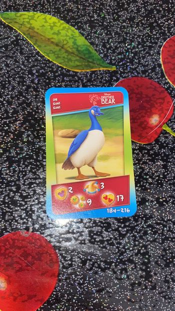 Carte frère des ours