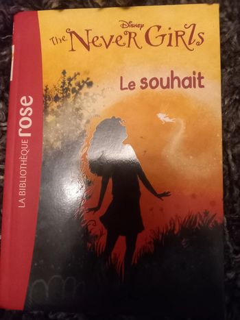 livre "The never girl/ le souhait"