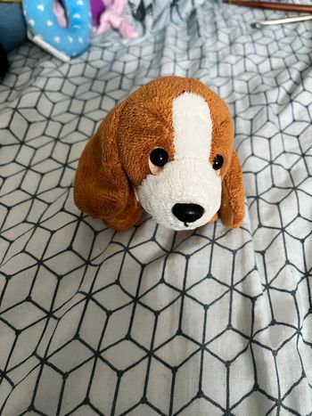 Petit chien