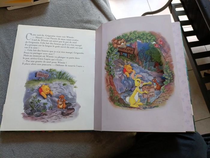 Disney Winnie est glouton - photo numéro 3