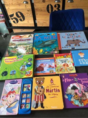 Lot de livres