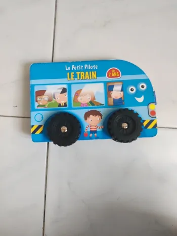 Livre le petit pilote