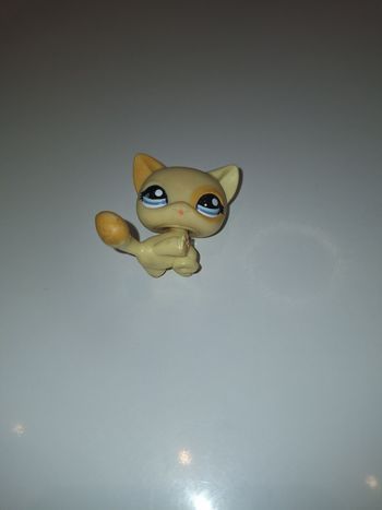 Petshop LPS chat contour yeux  et bout de queue orange