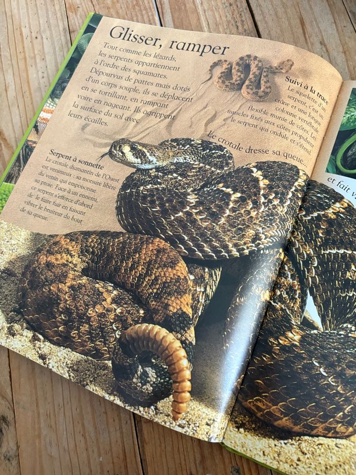 Mon encyclopédie des animaux - photo numéro 5