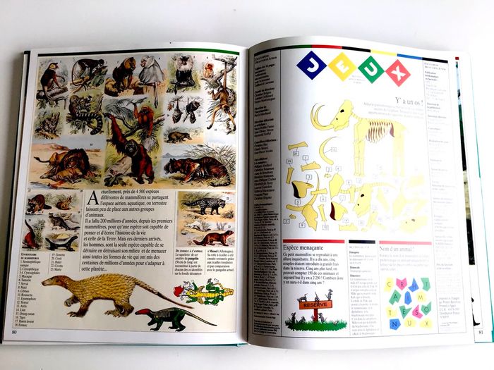 Grand album junior : du big-bang aux premières civilisations - photo numéro 2