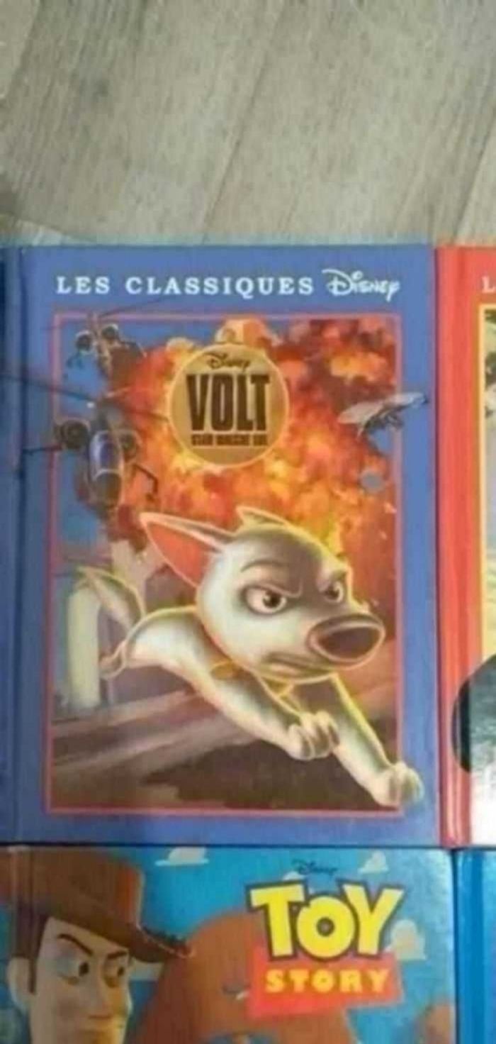 Livre histoire disney - photo numéro 8