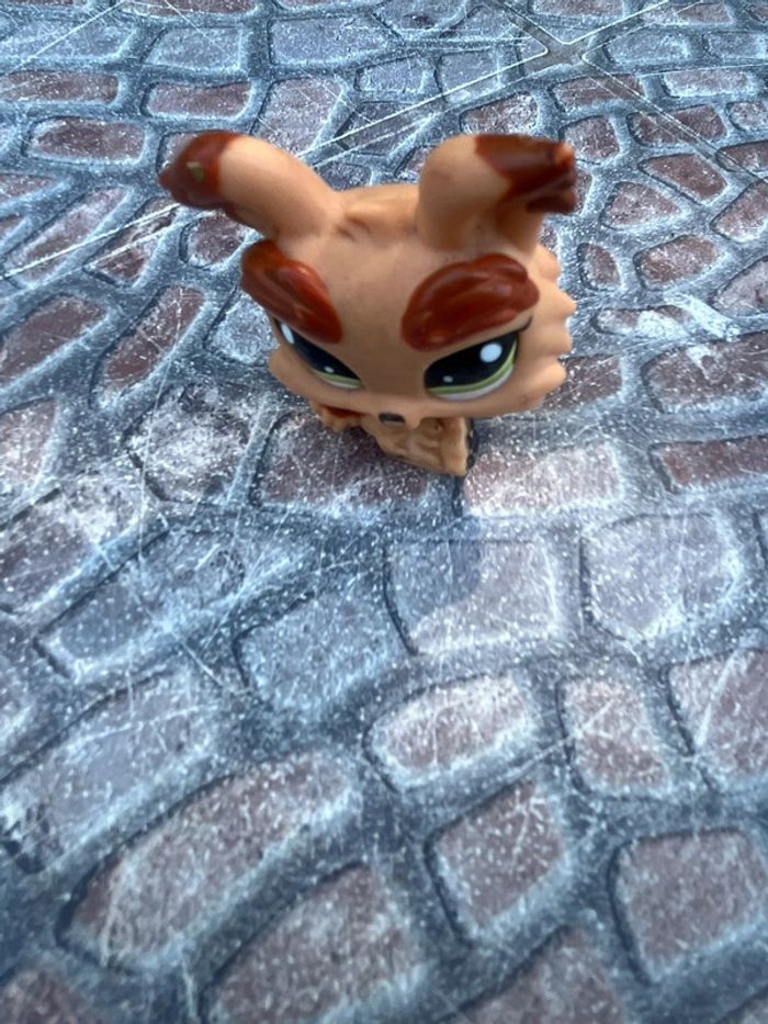 Petshop chien 🐱🐶 Vintage collectors